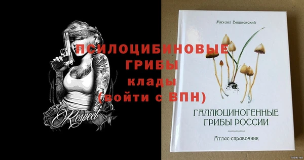 МДМА Беломорск