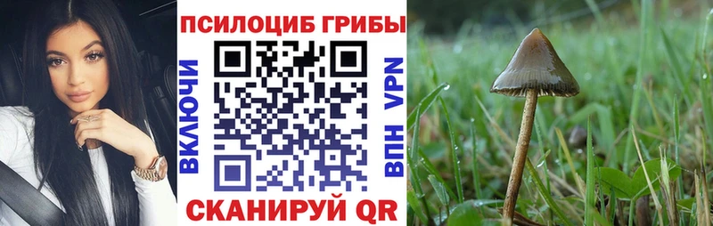 Галлюциногенные грибы ЛСД  закладки  Кстово 