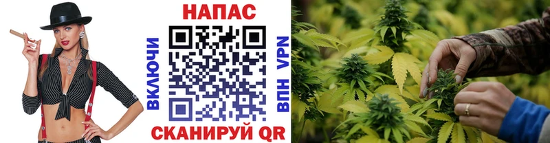 хочу наркоту  Кстово  Канабис Bruce Banner 